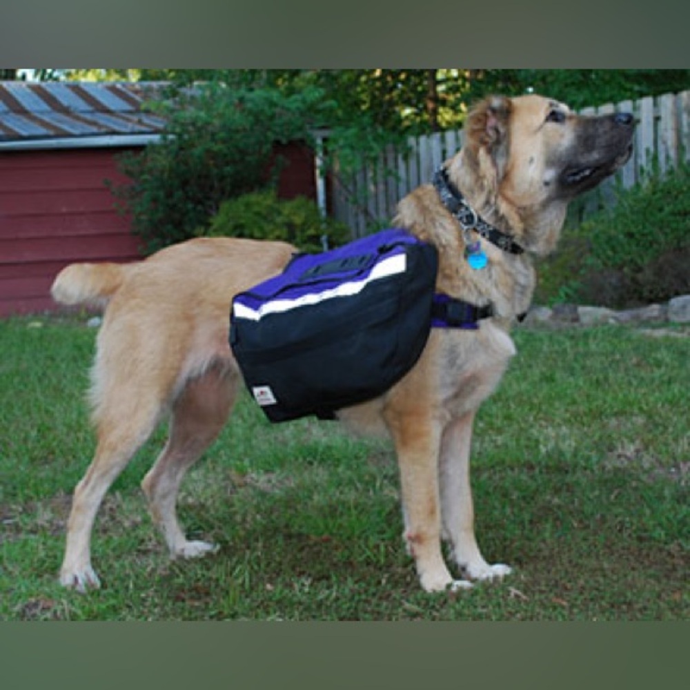 Wolf Packs „Banzai“ pannier bag for large dogs in orange